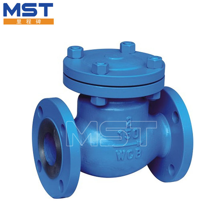 Check Valve