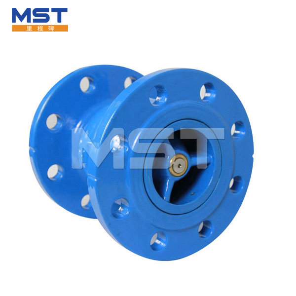 Silve Check Valve