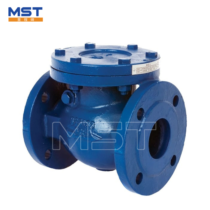 Swing Check Valve